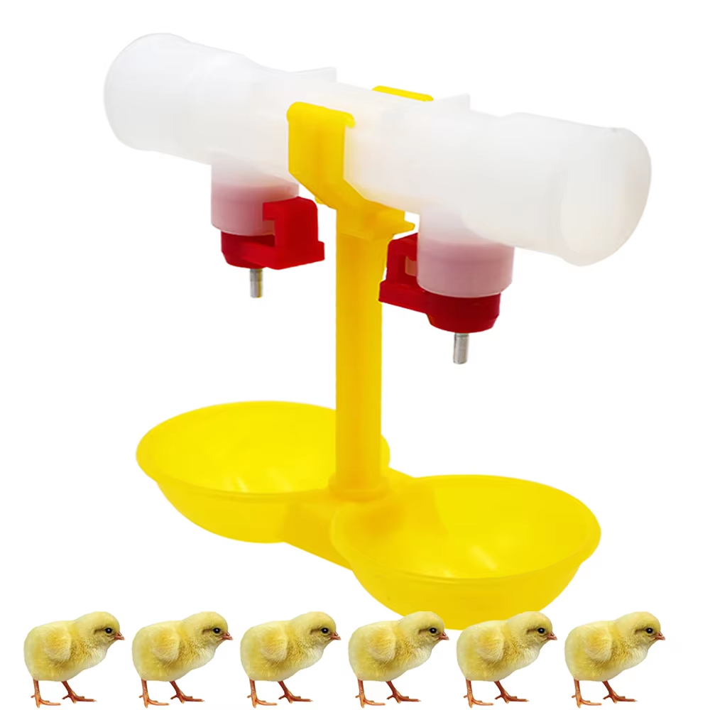 5/10/20 pièces poulet Double t - Zwitsal Baby Products avis et prix